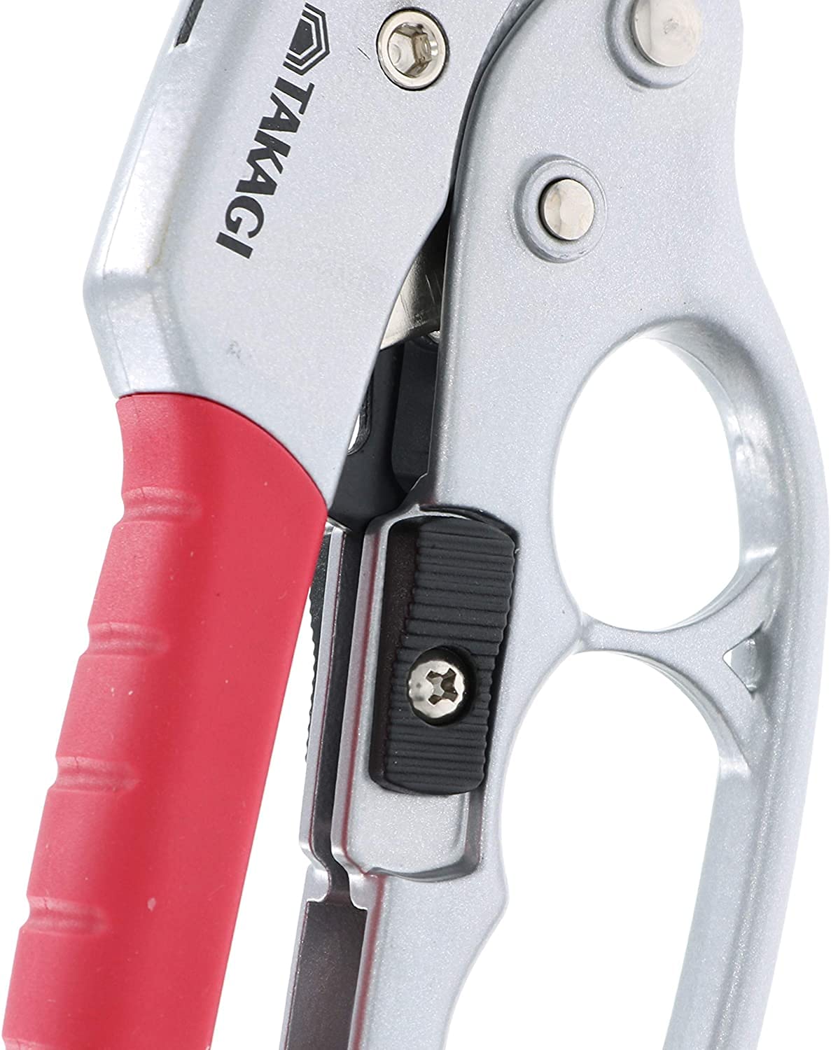 Amazon | 高儀(Takagi) 楽切り フッ素刃ラチェット式剪定鋏 200mm GRS